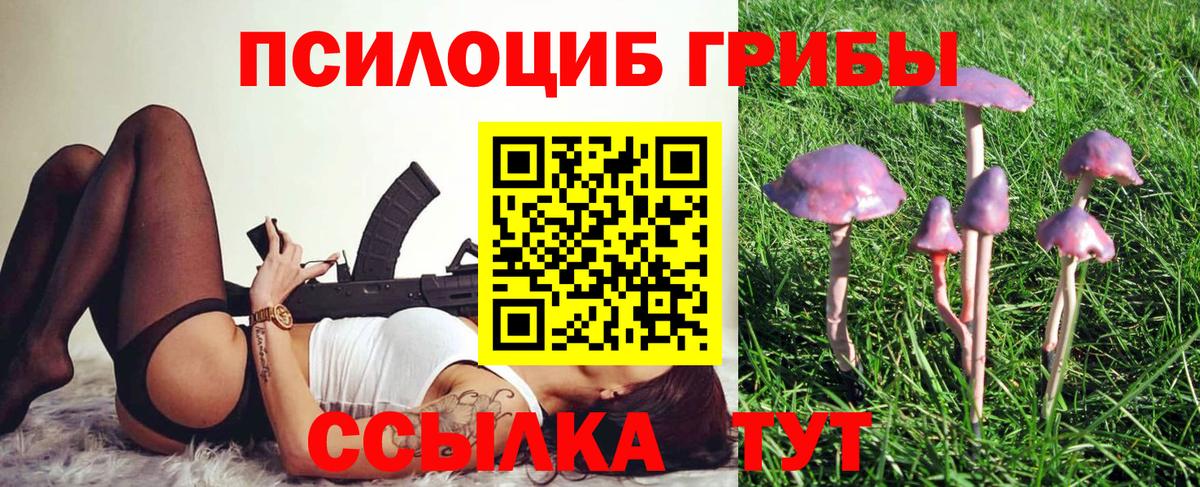 Кохма  купить наркотик  Вход с VPN  Псилоцибиновые грибы Magic Shrooms 